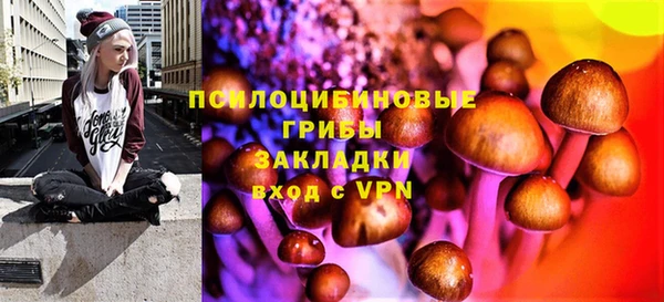 бошки Володарск