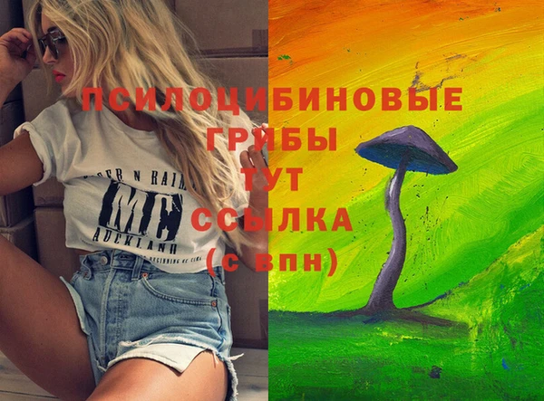 бошки Володарск