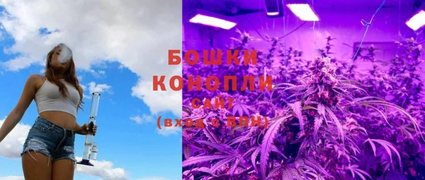 дурь Волосово