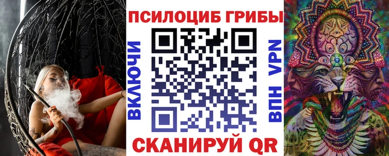 дарнет шоп Игарка Псилоцибиновые грибы Psilocybe
